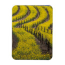 Suche nach napa magnete Weinberg