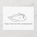 Recherche de têtard Humour