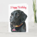 Recherche de labrador noir vœux cartes D'anniversaire de chien