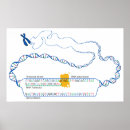 Recherche de transcription Adn
