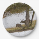 Suche nach rotwild teller Dollar