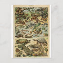Recherche de reptile cartes postales Sauvage
