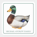 Recherche de de chasse autocollants Mallalard