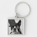 Recherche de boston terrier accessoires Animaux de compagnie mignons