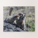 Suche nach eichhörnchen puzzle Foto