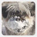 Recherche de blizzard autocollants Noël