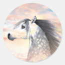 Suche nach appaloosa aufkleber Pferdeliebhaber