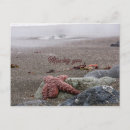 Recherche de nature photography poster Beach