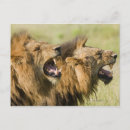 Recherche de vue de profil cartes postales Extérieur