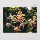 Recherche de orchids cartes postales Pour eux