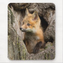 Recherche de creux tapis souris Animaux mignons