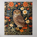 Suche nach owl poster Vogelvogel