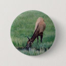 Recherche de yellowstone badges Animal