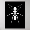 Recherche de fourmi posters Insecte