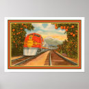 Recherche de orangeraie cartes postales Vieux
