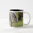 Recherche de nature scenes tasses Cheval