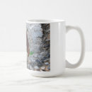 Recherche de ruines tasses Muqueuse