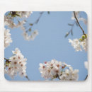 Suche nach japanische kirschblüte mousepads Natur