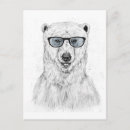 Suche nach lustige eisbären postkarten Tier