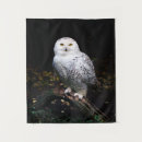 Suche nach beute kunst Vogelvogel