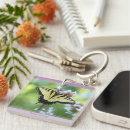 Recherche de insecte fait sur commande photographie Insectes