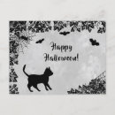 Suche nach schwarze spinnen postkarten Katze