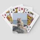 Suche nach winden sie sich spielkarten Katze