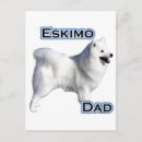 Suche nach amerikanischer eskimo postkarten Eskie
