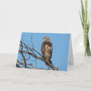 Suche nach roter schwanz karten Gruß