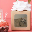 Suche nach rover aufkleber Mars