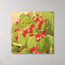 Suche nach prickley poster Rosa
