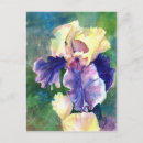 Recherche de couleurs douces cartes postales Pour elle