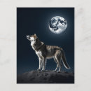 Recherche de lune loup cartes postales Ciel nocturne
