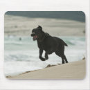 Suche nach spanien mousepads Natur