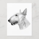 Suche nach bull terrier postkarten Bulldogge