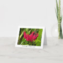 Suche nach ungewöhnliche karten Rot