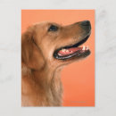 Suche nach seitlich postkarten Hund