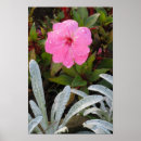 Suche nach blumen poster Wildblume
