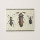 Suche nach insekten puzzle Käfer