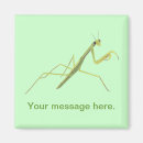 Suche nach mantis magnete Mantitis