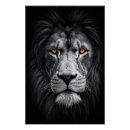 Recherche de regard de lion posters Faune