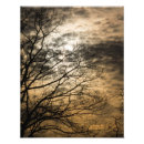 Suche nach schwarze sonne poster Orange