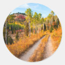 Suche nach nadelbaum aufkleber Wald