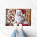 Recherche de samoyed Vacances