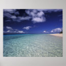 Suche nach tonga poster Tropisch