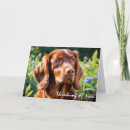 Suche nach hundefreunde karten Friend
