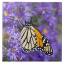 Suche nach selektiver fokus fliesen Wild lebende tiere