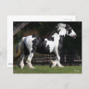 Recherche de gypsy cartes postales Cheval