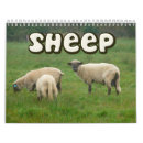 Suche nach schafe kalender Lamm