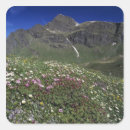 Suche nach schweizer alpen aufkleber Landschaft
